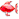 N-Fish-red2