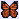 I-Butterfly-Monarch
