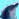 Dolphin_2-450